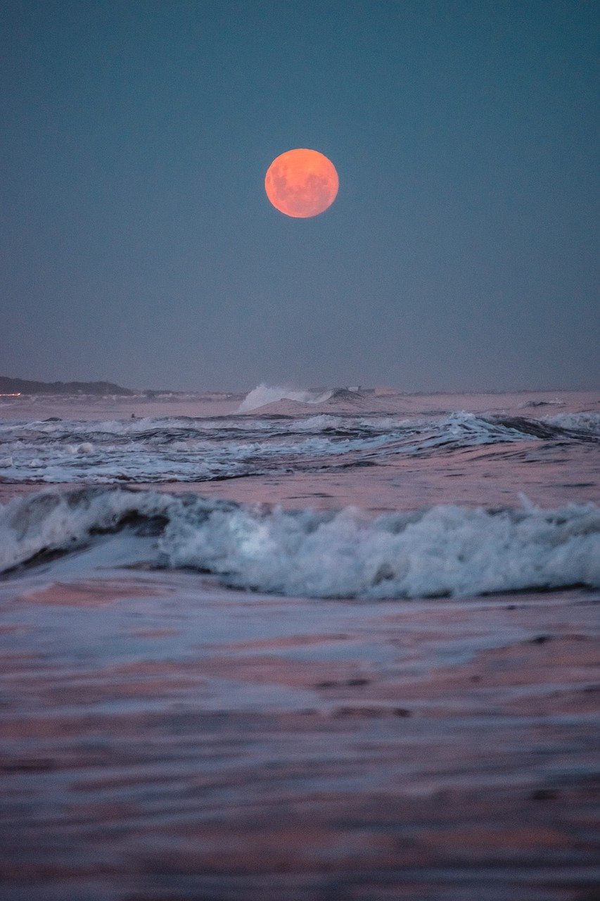 sea, moon, sunset-7855153.jpg
